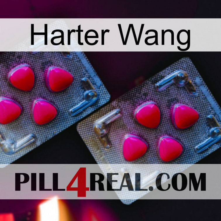 Hard Wang 14